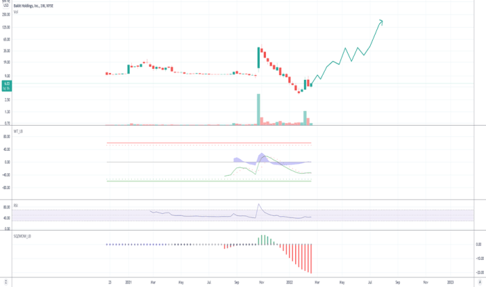 Bkkt stock price