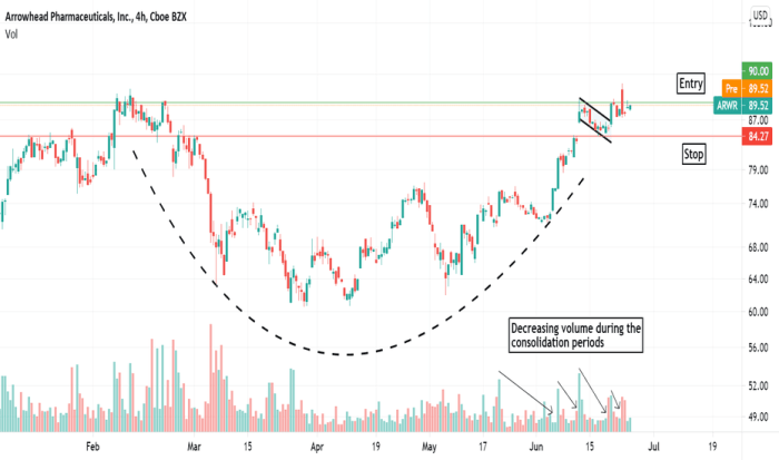 Arwr stock price